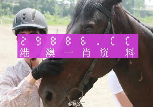 澳门一肖一码一必中一肖，专业研究解释落实_网红版64.2.31