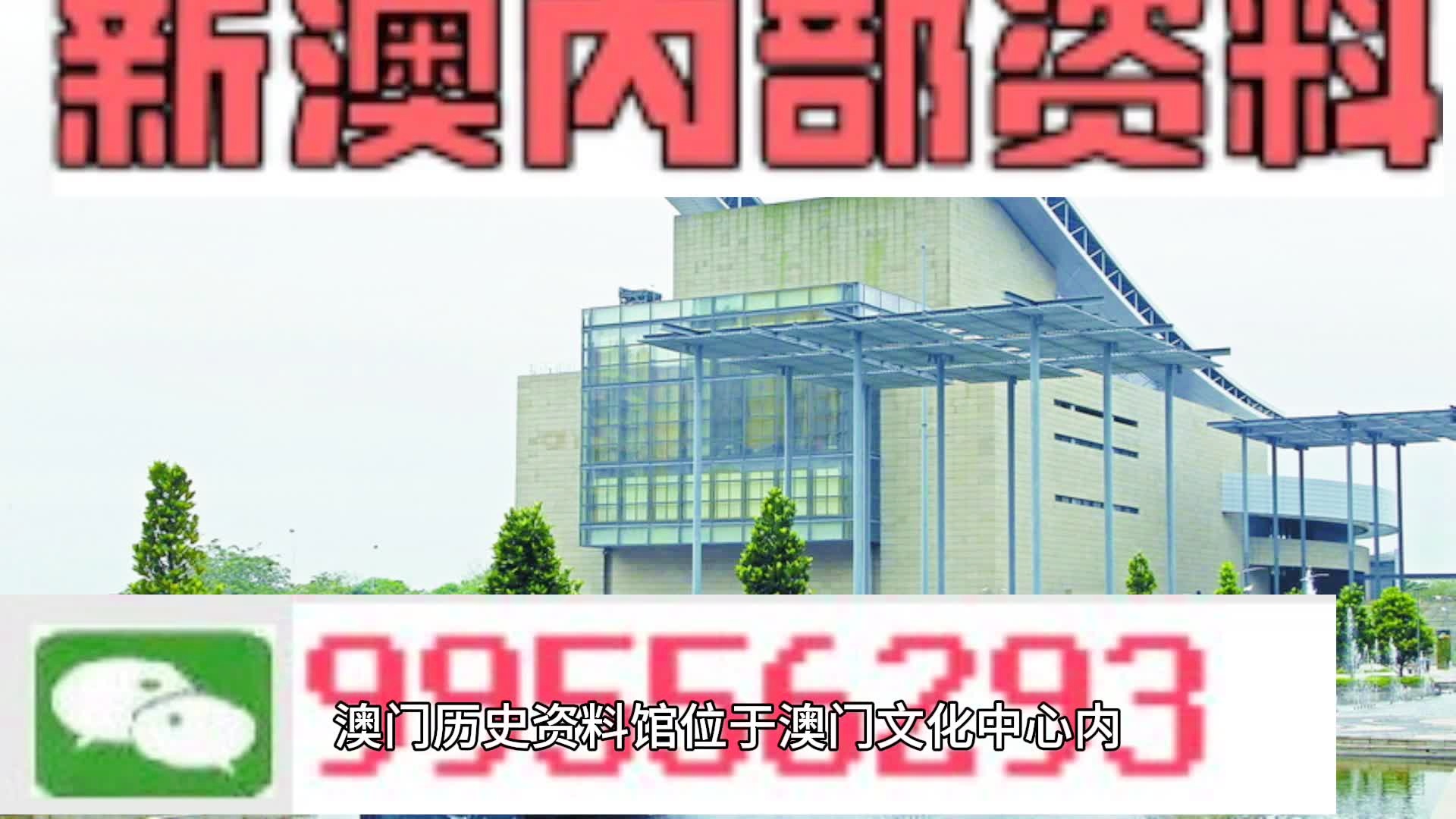 新澳2024年精准一肖一码，快速解答解释落实_试用版31.61.55