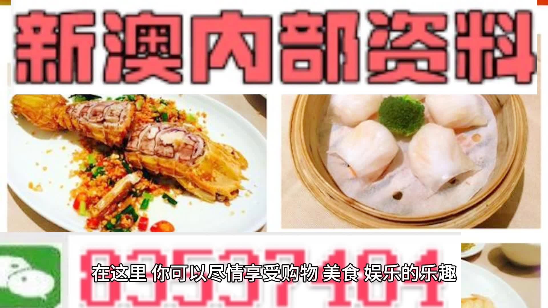 澳门2024年精准资料大全,用户解答解释落实_挑战版33.64.91