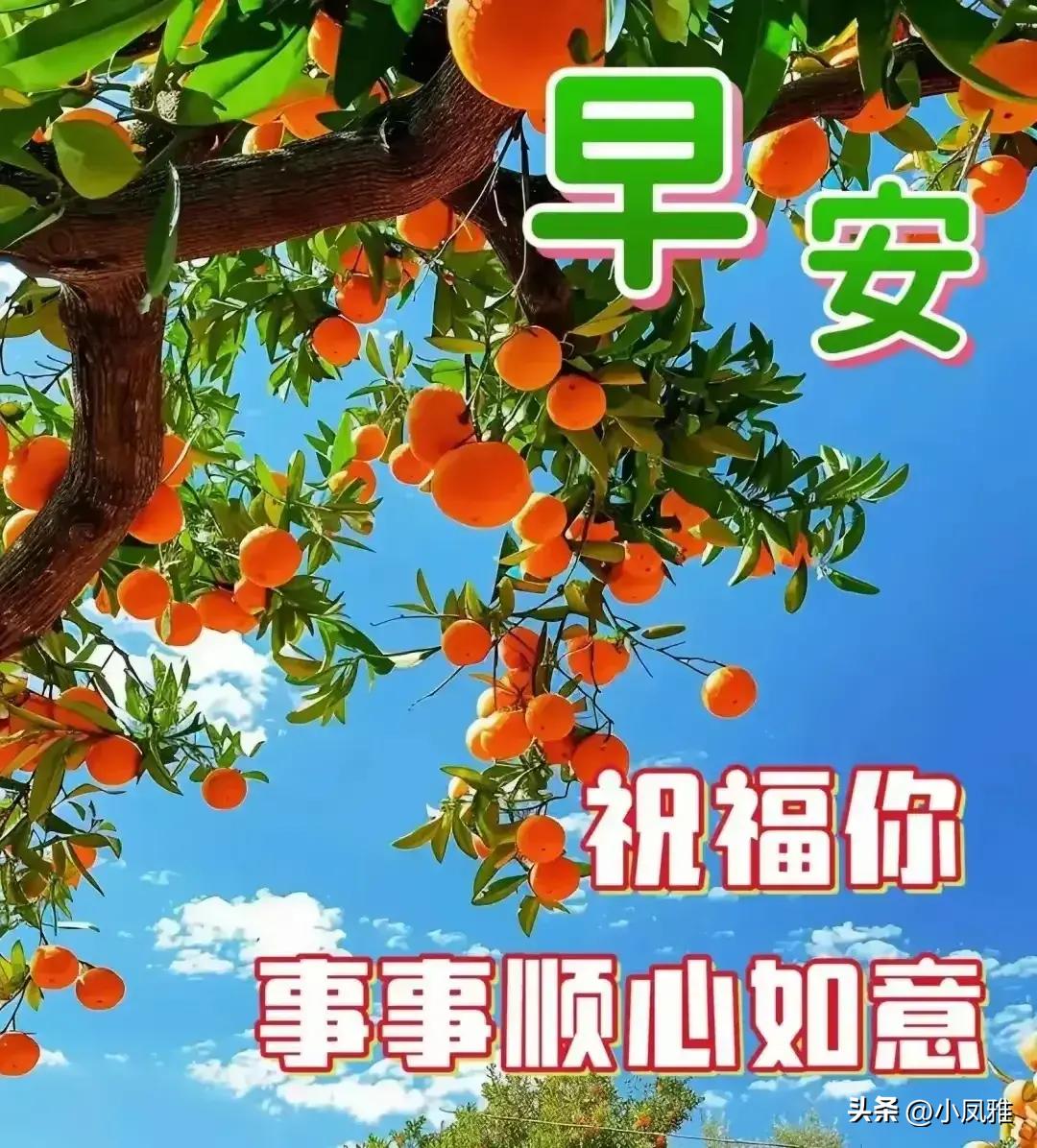 纵览 第4页