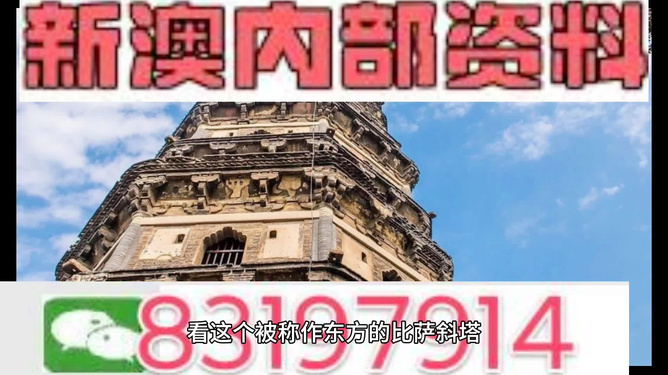 新澳2024年精准资料32期,稳定解答解释落实_精确版49.63.58