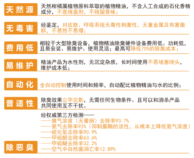 新澳2024大全正版免费,精英解答解释落实_官方版60.46.50